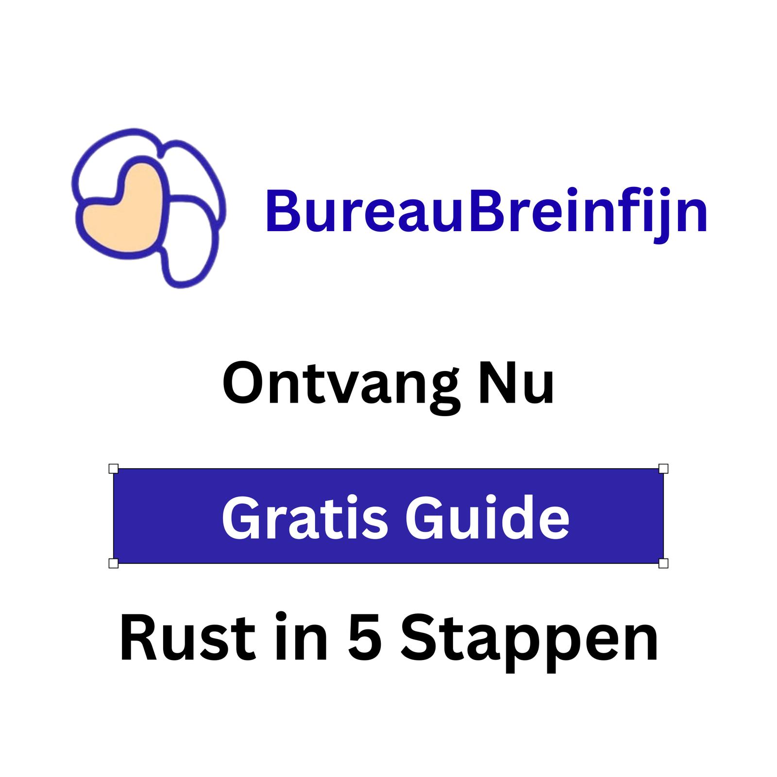 Breinfijn gratis guide Rust in 5 minuten